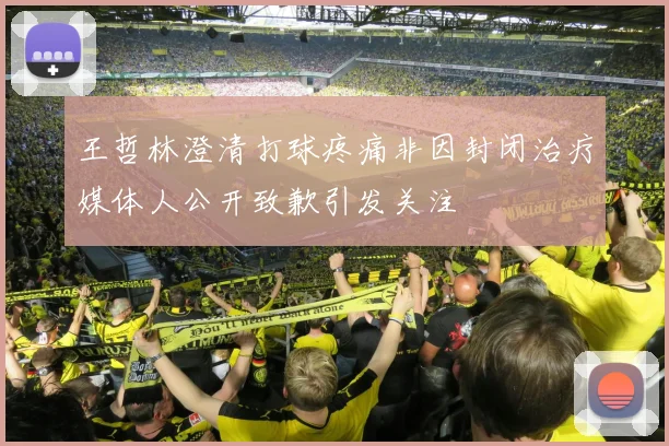 王哲林澄清打球疼痛非因封闭治疗媒体人公开致歉引发关注