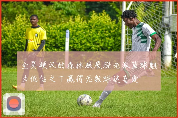 全员硬汉的森林狼展现老派篮球魅力低估之下赢得无数球迷喜爱